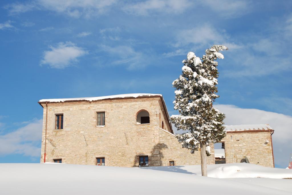 Agriturismo Scannano Serre Di Rapolano Exterior photo